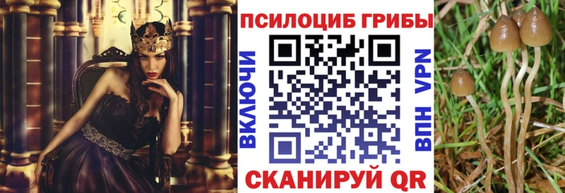 закладки  Тара  МЕГА ссылка  Псилоцибиновые грибы Psilocybe 