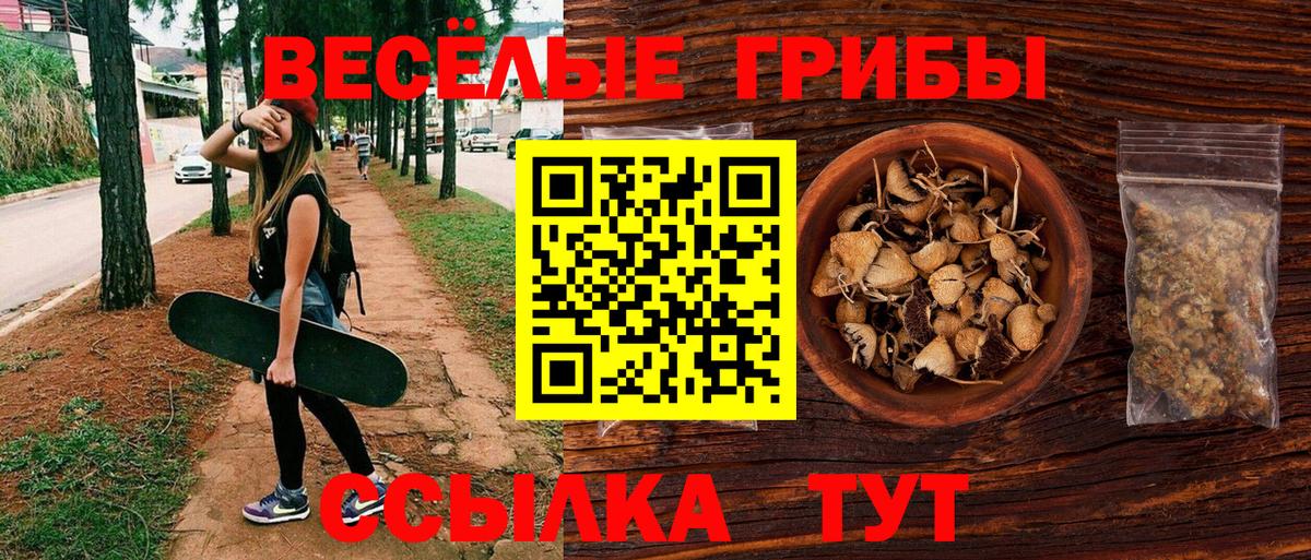 Тара  Псилоцибиновые грибы мицелий  Вход с VPN  Псилоцибиновые грибы Psilocybine cubensis 