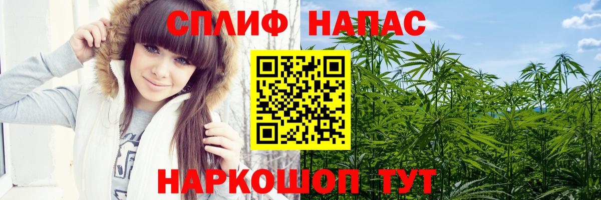 Каннабис сатива  Канабис тримм  Конопля Amnesia  Канабис AK-47  Вход с VPN  Тара 